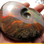 opal-45